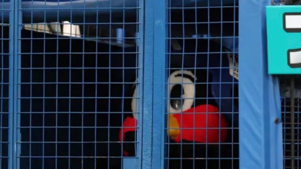 二代目つば九郎が遂に復活！出陣式ラストにサプライズ登場で神宮が歓喜